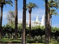 k-IMG_20260206_150959