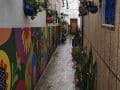 k-IMG_20260208_084319