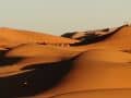 k-IMG_20260209_183256