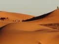 k-IMG_20260209_183756