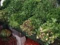 k-IMG_20260212_112028