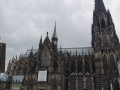 IMG_20250504_101953