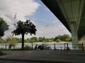 IMG_20250504_161127