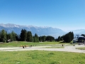 k-IMG_20200821_104722