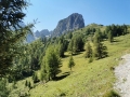 k-IMG_20200821_113119