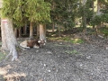 k-IMG_20200821_123409
