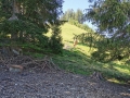 k-IMG_20200821_123419