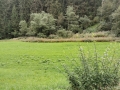 k-IMG_20200823_123805