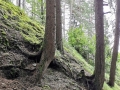 k-IMG_20200823_123851