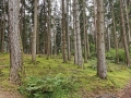 k-IMG_20200823_124239