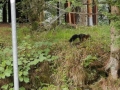 k-IMG_20200823_151454