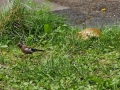 k-IMG_20200823_160223