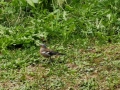k-IMG_20200823_160225