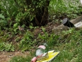k-IMG_20200823_160242