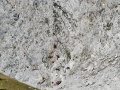 k-IMG_20200825_111424