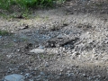 k-IMG_20200826_171501