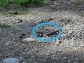 k-IMG_20200826_171629