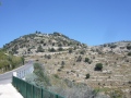 avola-1