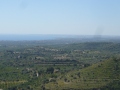 avola-4