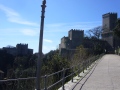 erice-16