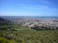 erice-28