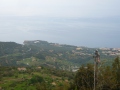 pollina-3