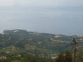 pollina-5