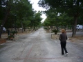 rais-gerbi-14