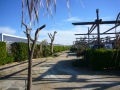 scarabeo-camping-1