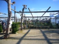 scarabeo-camping-2
