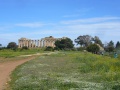 selinunte-1