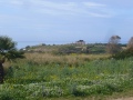 selinunte-18