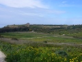 selinunte-19