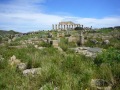 selinunte-27