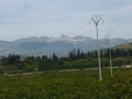 selinunte-35