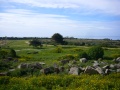 selinunte-9