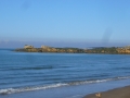 scarabeo camping (5)