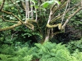 IMG_4602.jpeg