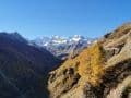 k-IMG_20221019_095808