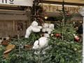 k-IMG_20221213_115411
