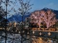 k-IMG_20221213_164509