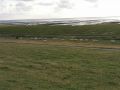 k-IMG_20210810_192544